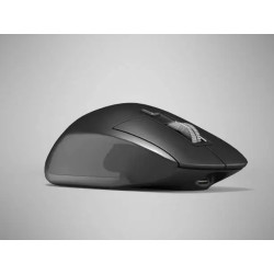 Wireless Ergonomic Mouse  Black